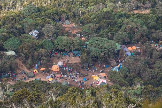 7 Day Kilimanjaro Machame Climb - Emergency Evacuation