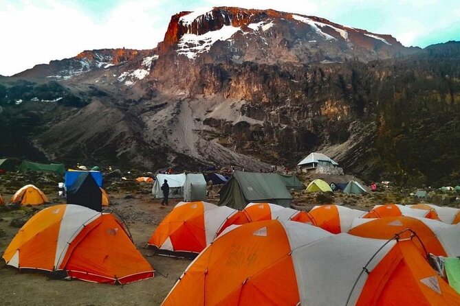 7 Day Kilimanjaro Treks via Machame Route + 2 Nights Hotel Stay - Pickup and Timing Details