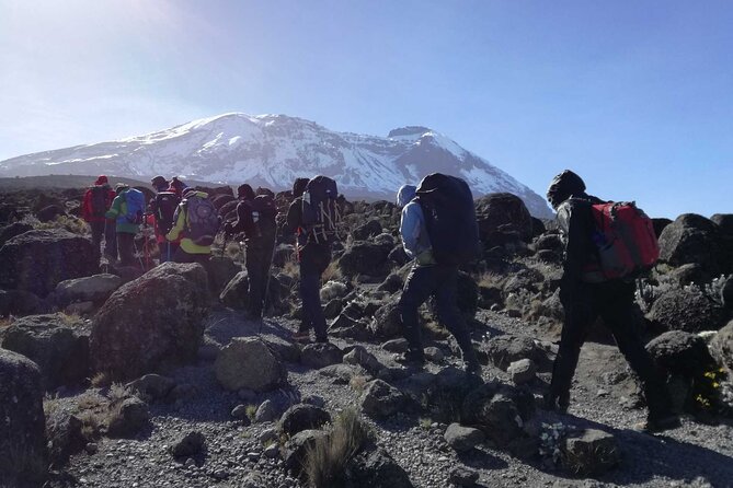 7 Day Kilimanjaro Treks via Machame Route + 2 Nights Hotel Stay - Accessibility and Participation