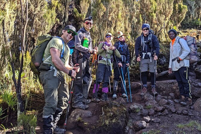 7 Day Kilimanjaro Treks via Machame Route + 2 Nights Hotel Stay - Traveler Reviews and Pricing