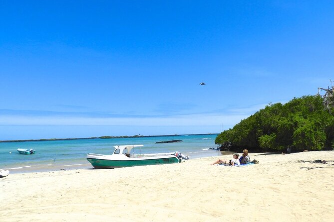 7-Day Luxury Safari Tour of the Galapagos Islands - Included Accommodations and Meals