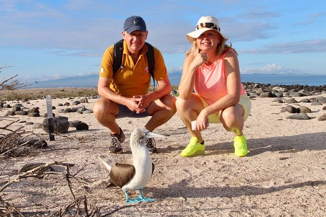 7-Day Luxury Safari Tour of the Galapagos Islands - Transportation and Equipment