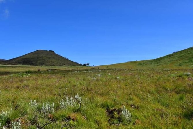 7-Day Machame Route Tour - Group Size and Restrictions