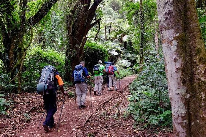 7-Day Machame Route Tour - Meals and Accommodation
