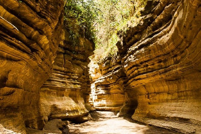 7 Day Masaai Mara, Lake Nakuru, Lake Naivasha / Hells Gate and Amboseli Safari - Pickup and Logistics
