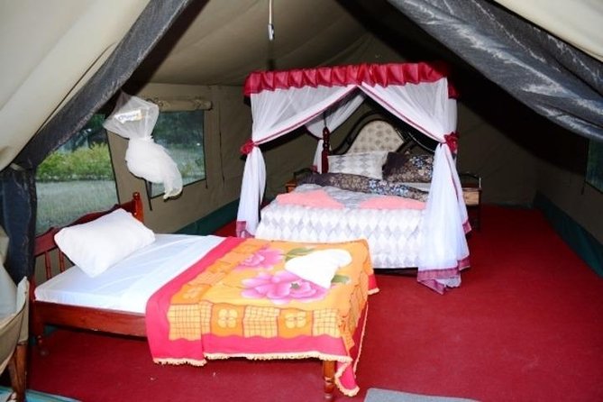 7 Day Masaai Mara, Lake Nakuru, Lake Naivasha / Hells Gate and Amboseli Safari - Reviews and Feedback