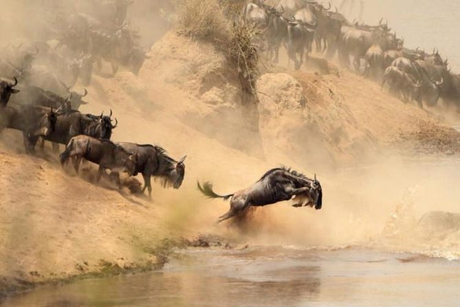 7 Day Masaai Mara, Lake Nakuru, Lake Naivasha / Hells Gate and Amboseli Safari - Destinations and Wildlife Viewing