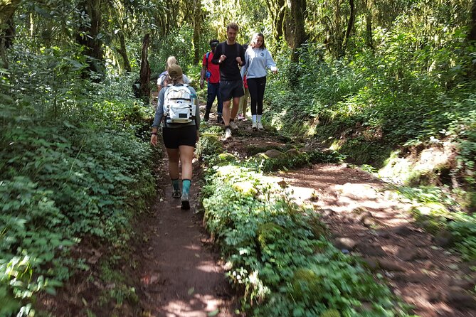 7-Day Mountain Climbing in Machame Route - Inclusions and Exclusions