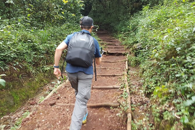 7-Day Mountain Climbing in Machame Route - Physical Requirements
