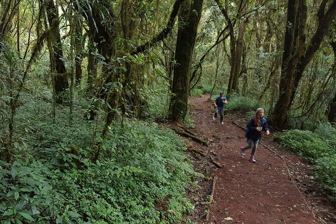 7-Day Mountain Climbing in Machame Route - Booking and Confirmation