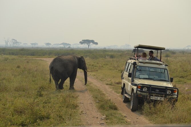 7-Day North Tanzania Classic Safari - Pricing and Cancellation Policy