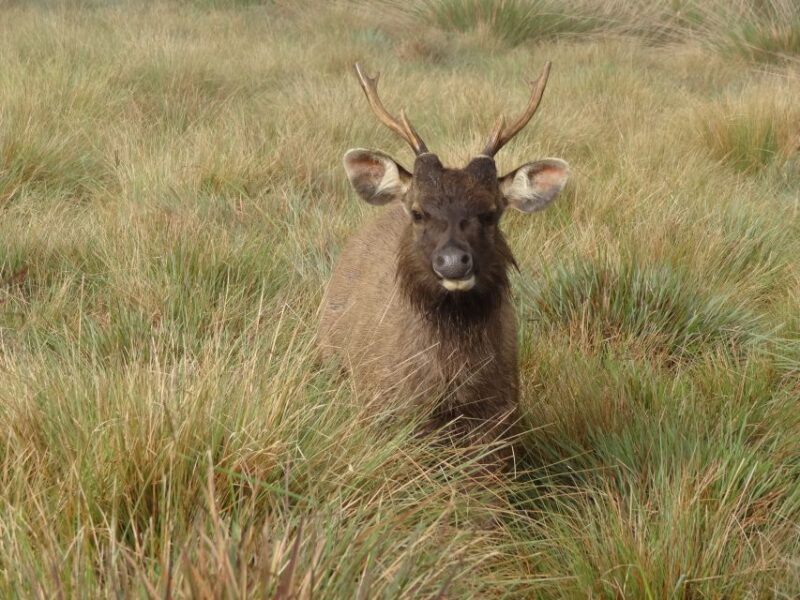 7-Day off the Beaten Nature and Wildlife Tour - Adventure Activities