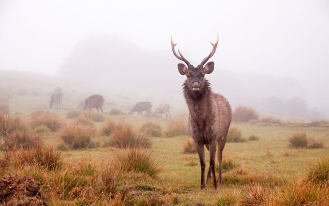 7-Day off the Beaten Nature and Wildlife Tour - Reservation
