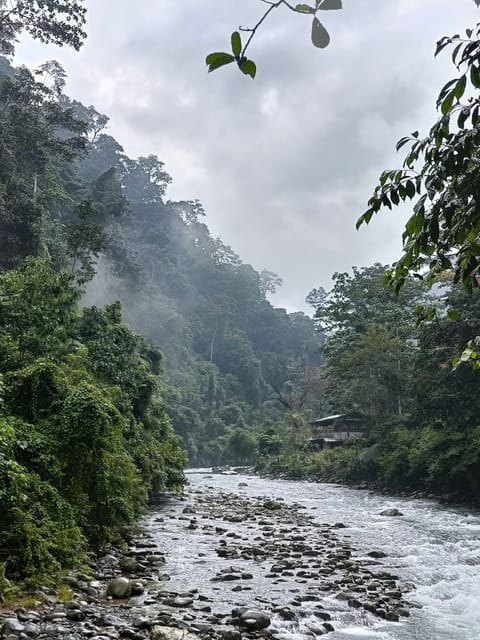 7-Day Orangutan Photo Adventure: Batu Kapal & Bukit Lawang - Wildlife and Nature Experience