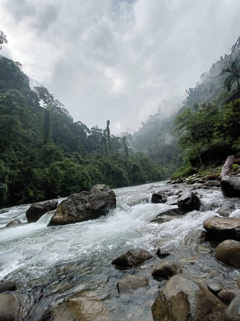 7-Day Orangutan Photo Adventure: Batu Kapal & Bukit Lawang - Cultural Interaction