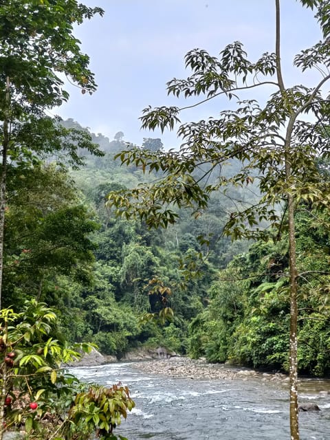 7-Day Orangutan Photo Adventure: Batu Kapal & Bukit Lawang - Inclusions and Recommendations