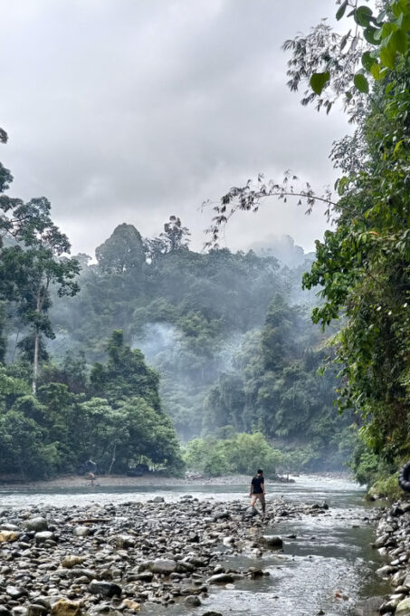 7-Day Orangutan Photo Adventure: Batu Kapal & Bukit Lawang - Arrival and Departure