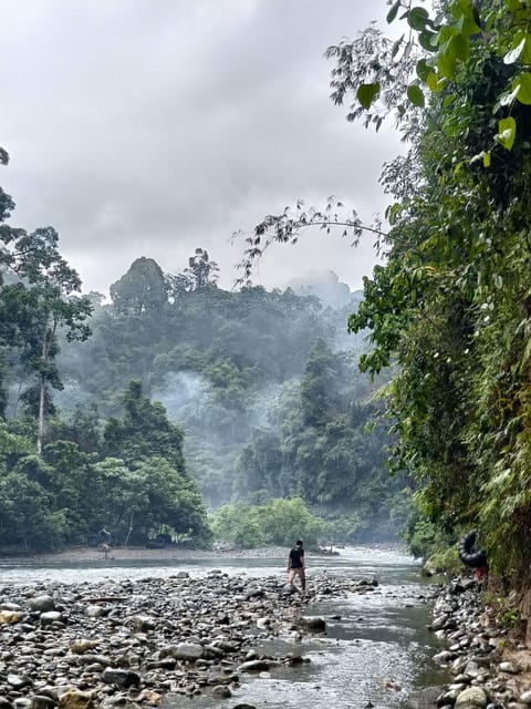 7-Day Orangutan Photo Adventure: Batu Kapal & Bukit Lawang - Accommodation and Meals