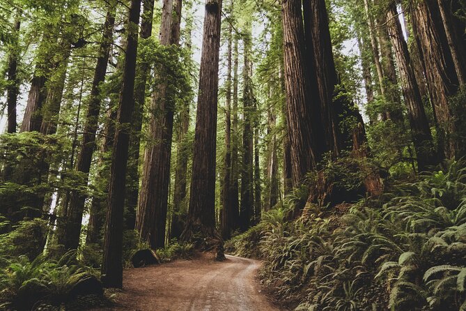 7 Day - Oregon South Experience - Culinary Highlights
