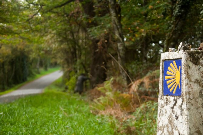 7-Day Portuguese Camino De Santiago Tour From Tui - Pricing and Availability