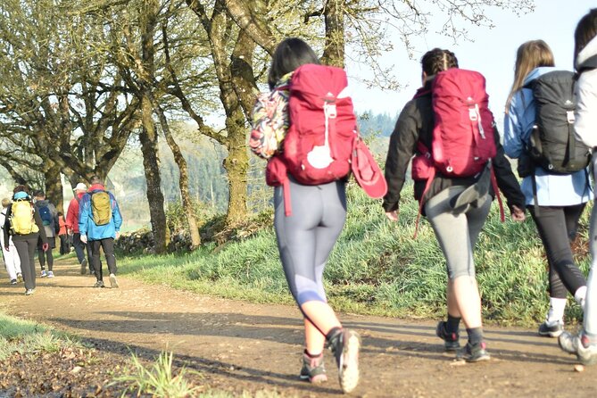 7-Day Portuguese Camino De Santiago Tour From Tui - Transportation and Accessibility