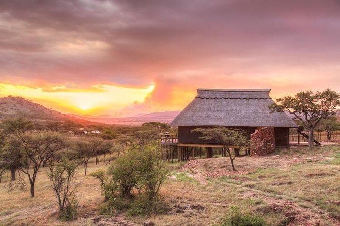 7-Day Premium Luxury Tanzania Safari All-Inclusive - Safari Tour Reviews