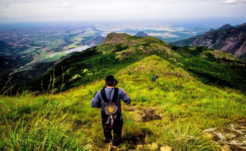 7 Day Private Car Tour: Madurai, Kodaikanal, Munnar, Periyar - Pickup and Transportation