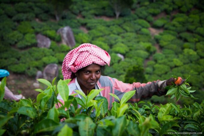 7 Day Private Car Tour: Madurai, Kodaikanal, Munnar, Periyar - Cultural Considerations