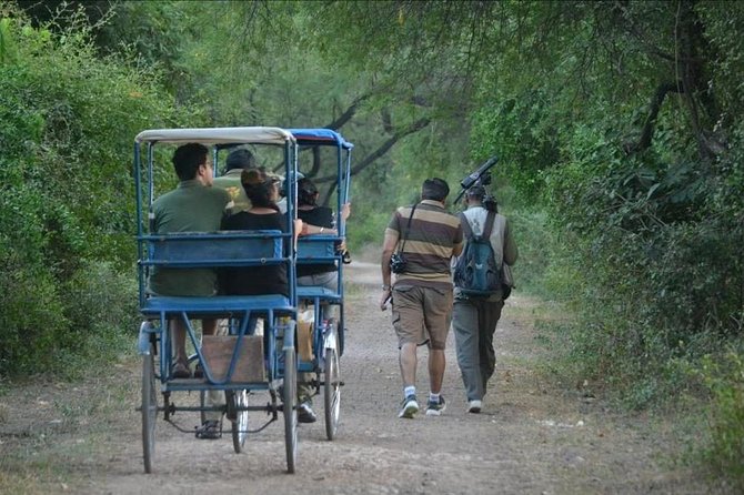 7-Day Private Golden Triangle Tour - Forts Palaces and Wildlife Sanctuary - Transportation and Pickup Details