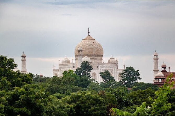 7-Day Private Golden Triangle Tour - Forts Palaces and Wildlife Sanctuary - Inclusions and Exclusions