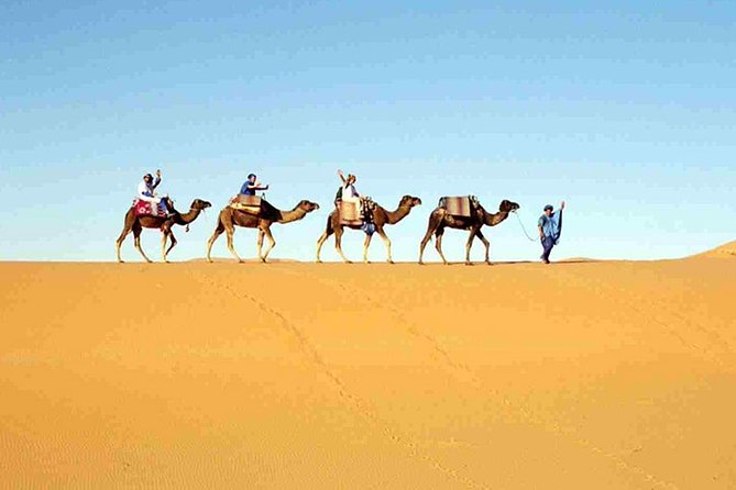 7-Day Private Guided Desert Tour From Casablanca to Marrakech - Reviews and Testimonials