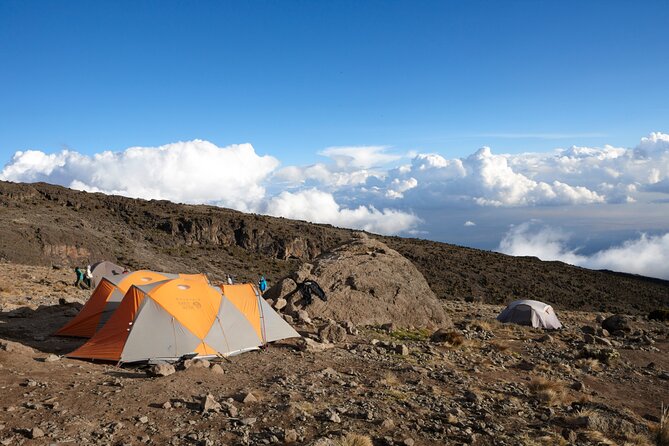 7-Day Private Kilimanjaro Hiking Tour via Machame From Arusha - Additional Information