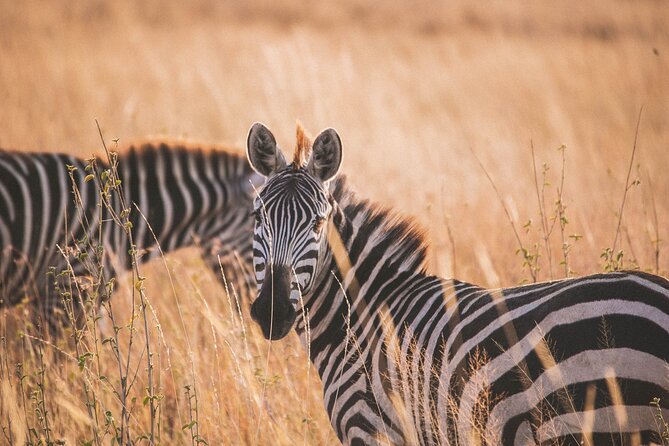 7-Day Private Midrange Tour in Arusha With Airport Pickup - Tour Highlights