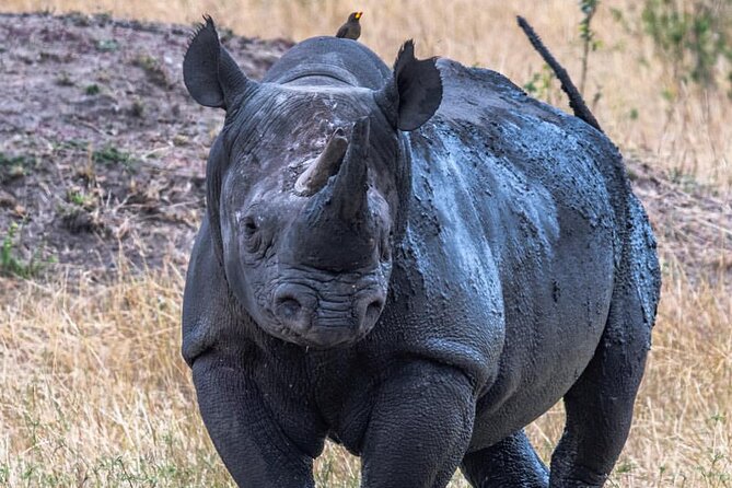 7-Day Private Midrange Tour in Arusha With Airport Pickup - Local Ecosystem Learning