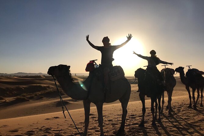 7 Day Private Tour From Casablanca to the Desert and Chefchaouen - Pricing and Cancellation