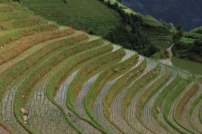 7-Day Private Tour From Chongqing to Guilin Review - Health and Accessibility