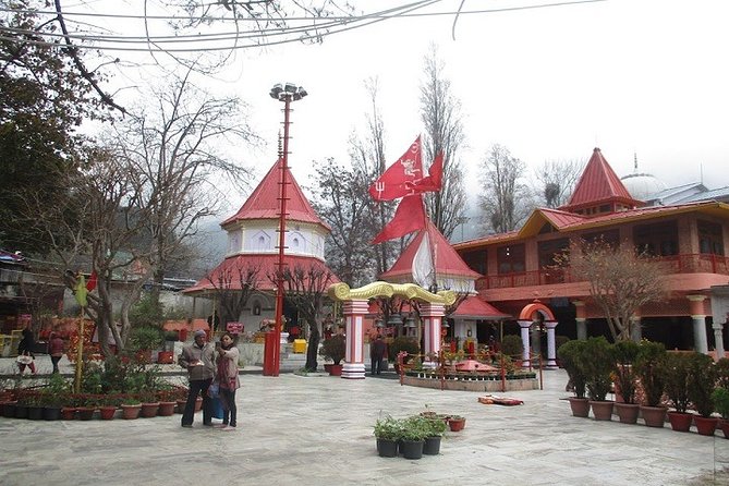 7-Day Private Tour of North India With Accommodation - Pricing