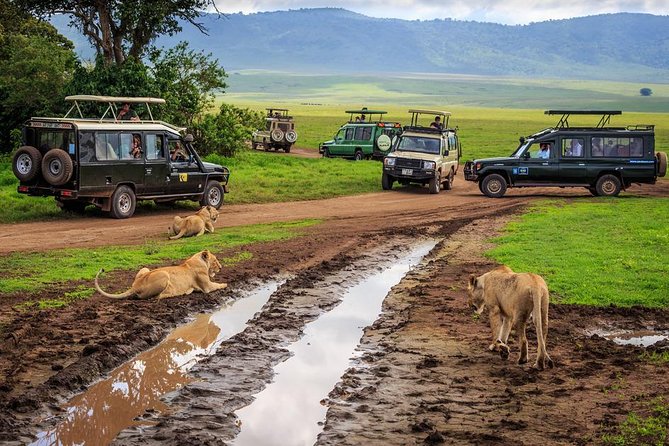 7-Day Safari (Including Serengeti) & Zanzibar Extension - Relaxing in Zanzibars Beaches
