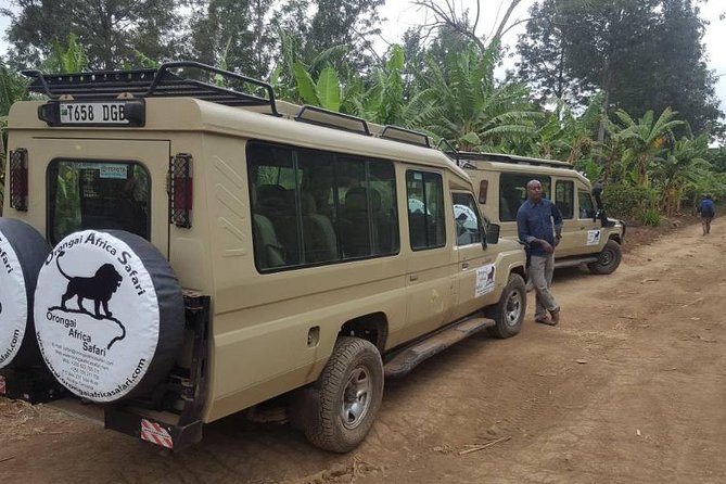 7-Day Safari (Including Serengeti) & Zanzibar Extension - Preparing for Your Safari Adventure