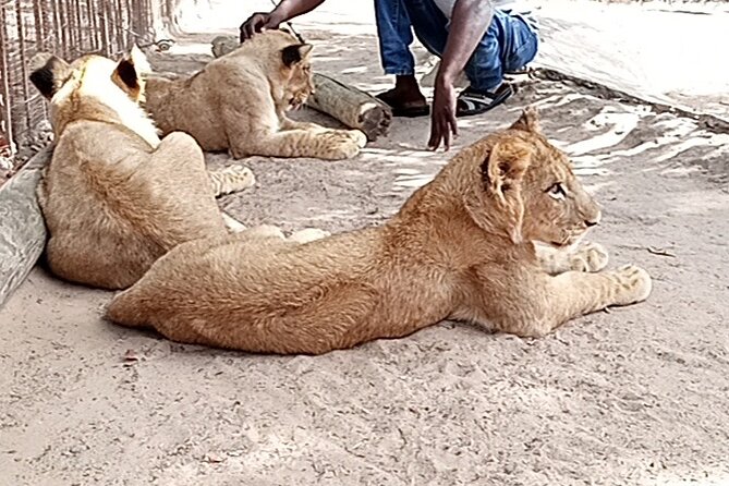 7-Day Senegal Private Trip From Dakar - Cancellation Policy