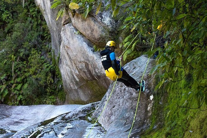 7 Day South Island Lick Tour - Group Size and Price