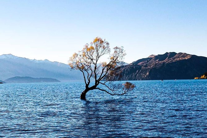 7 Day South Island Lick Tour - National Park Exploration