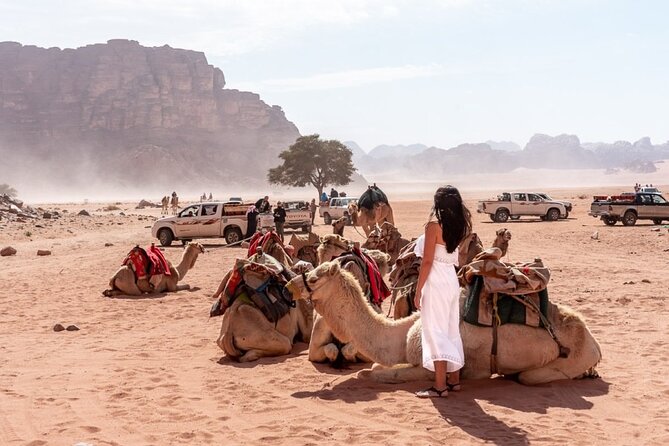 7-Day Super Luxury Tour By Toyota Land Cruiser - Wadi Rum: Desert Adventure