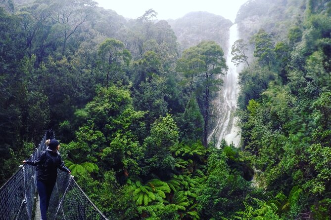 7-Day Super Value Tour of Tasmania: Explore Tasmanias West and East Coasts - Guides and Expertise