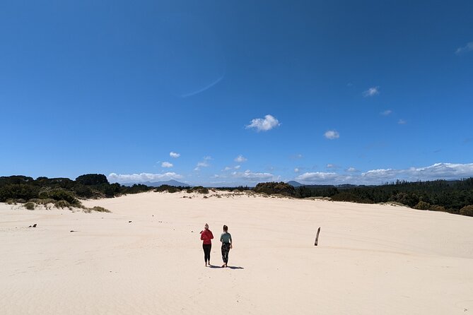 7-Day Super Value Tour of Tasmania: Explore Tasmanias West and East Coasts - Highlights and Activities