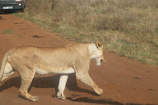 7 Day Tanzania Visiting Arusha, Lake Manyara, Serengeti, Ngorongoro & Tarangire - Transportation and Logistics