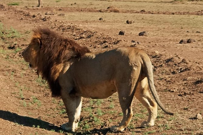 7 Day Tanzania Visiting Arusha, Lake Manyara, Serengeti, Ngorongoro & Tarangire - Booking and Pricing