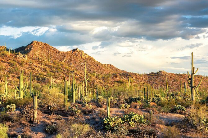 7-Day Tour Across Los Angeles,Phoenix, Sedona, and Las Vegas - Costs and Prohibited Activities
