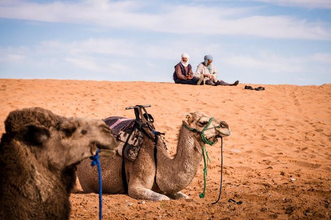 7-Day Tour From Marrakech - Meeting and Pickup