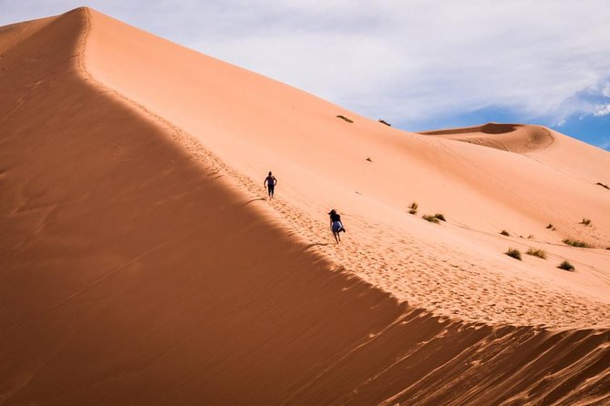 7-Day Tour From Marrakech - Accessibility and Participation